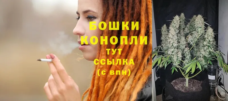 Шишки марихуана SATIVA & INDICA  Сланцы 